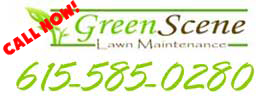 Nashville Lawn Care Arbornomics